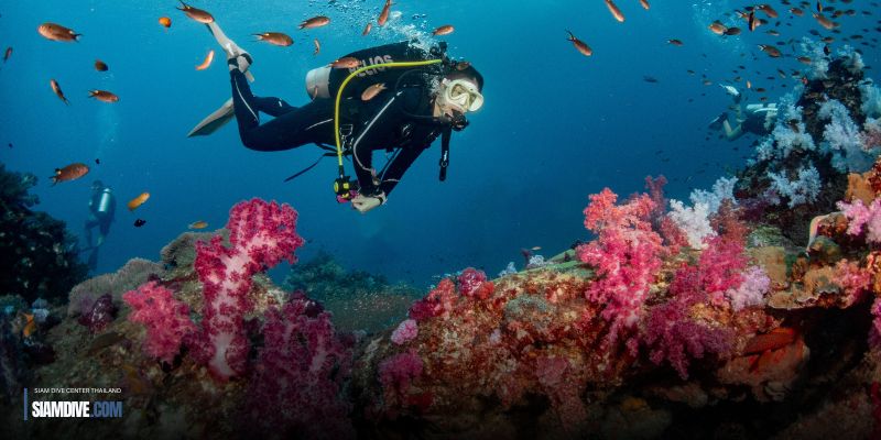 Scuba Fundive - koh lanta