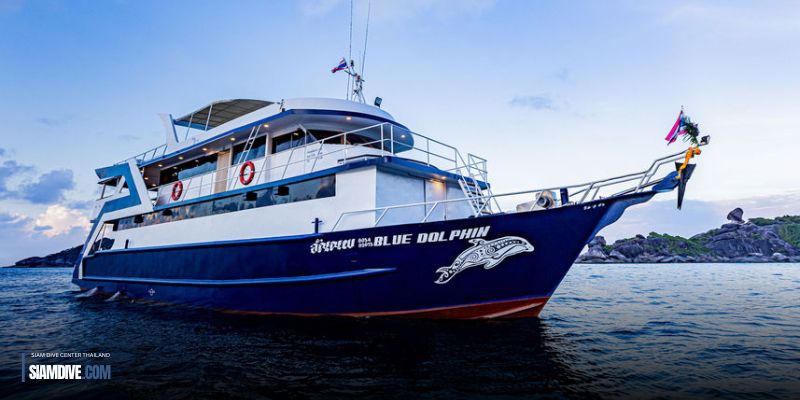 Blue Dolphin Liveaboard