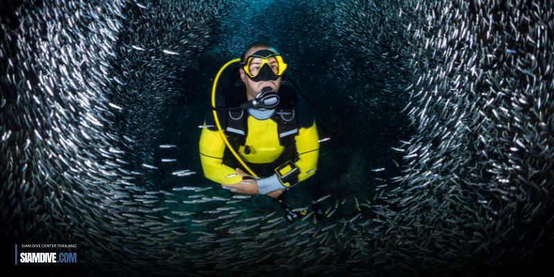 Scuba Fundive - phi phi islands