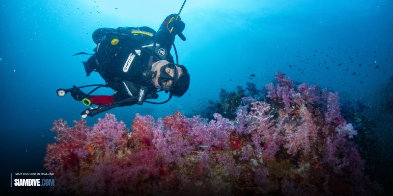 Scuba Fundive koh chang