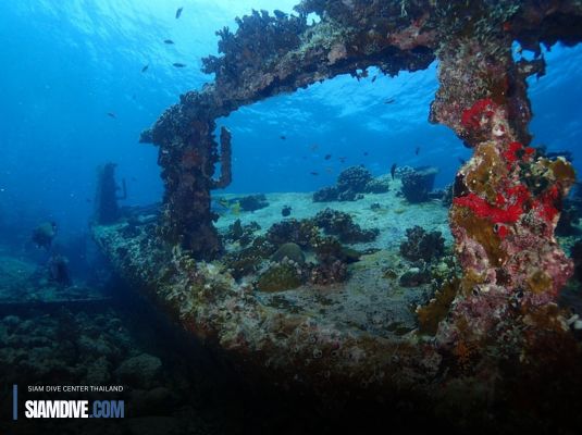 Tubbataha Reef : แหล่งดำน้ำมรดกโลกที่นักดำน้ำตัวจริงต้องไปเยือนสักครั้ง!