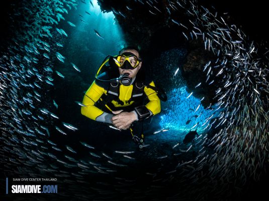 เปลี่ยนวันหยุดธรรมดาให้สนุกกว่าเดิมด้วย Scuba Diving!