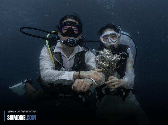 “Underwater Wedding”: Expressing Love Amidst a School of Fish